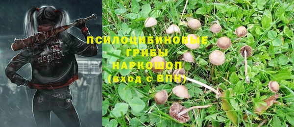 экстази Бородино