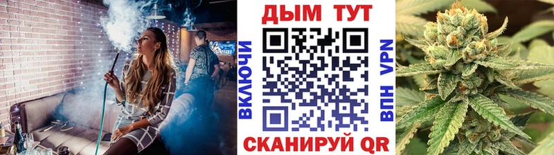 Бошки Шишки MAZAR Онега